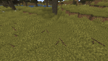 Twigs