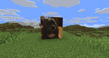 example 2