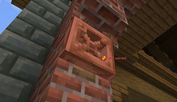 Not Waxed block