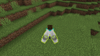 Custom Elytra texture for the Xbox 360 cape