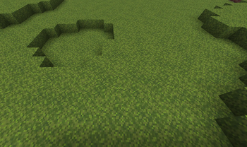 Moss random after