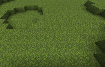 Moss before