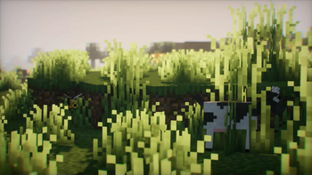 Goat 'n Bee