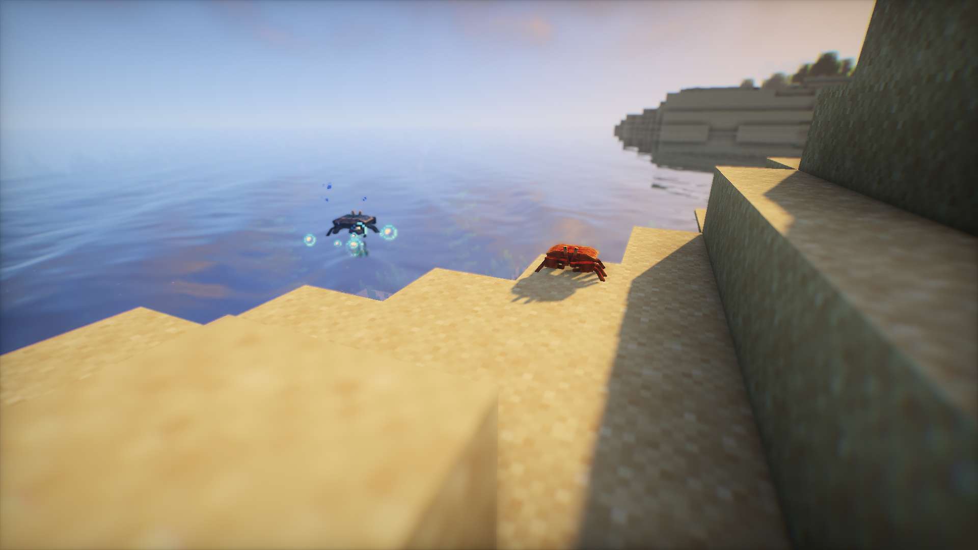 Crabs