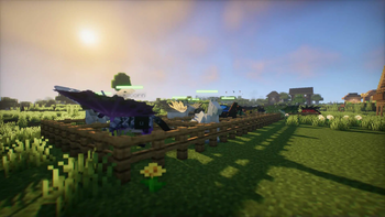 Horse Variants