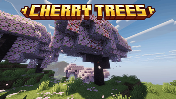 Cherry Trees