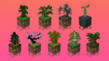 Saplings