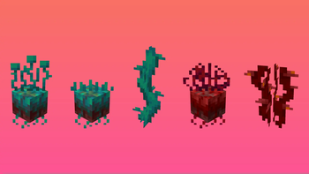 Nether Plants