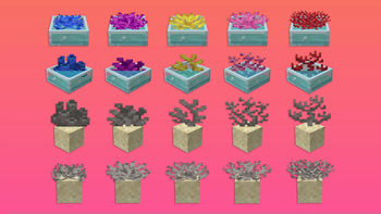 Corals