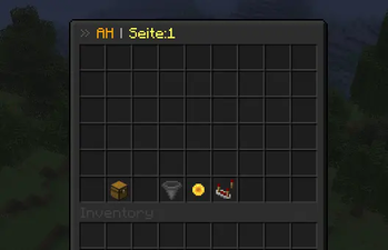 Auctionhouse