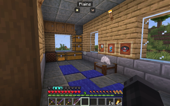 Bottom Floor