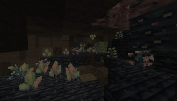 Crystal Caves