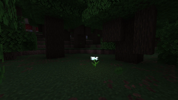 Silent Flower