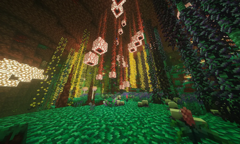Better Nether (NewBiome) 