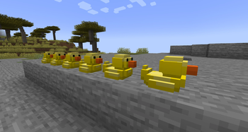 Rubber Duckies