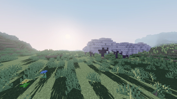 v1.2