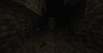 Cave encounter
