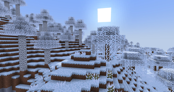 birch forest & swamp