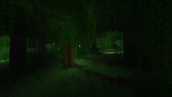 Jungle