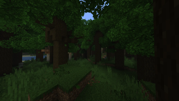 Dark Forest