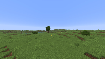 Plains