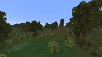 Swamp