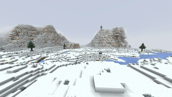 Snowy Plains