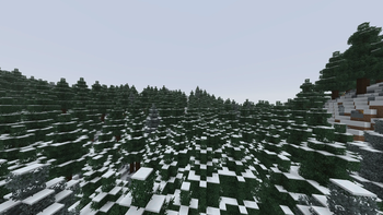 Snowy Taiga
