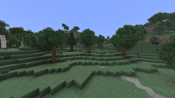 Windswept Forest