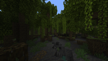 Mangrove Swamp
