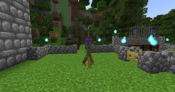 Treefyd walking