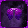Ender's Elytra