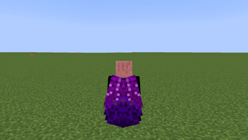 Ender's Elytra