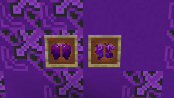 Ender's Elytra