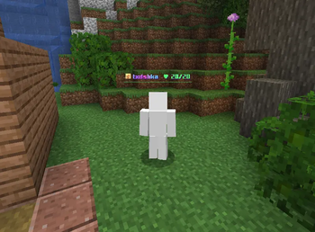 Crystal Nametags — screenshot 1