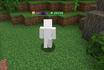 Crystal Nametags — screenshot 2