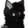Kilda_the_floof