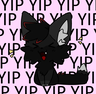Kilda_the_floof