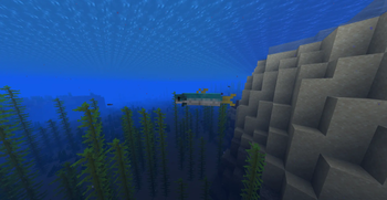 Tuna
