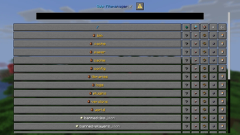 File Manager