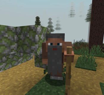 Old Man