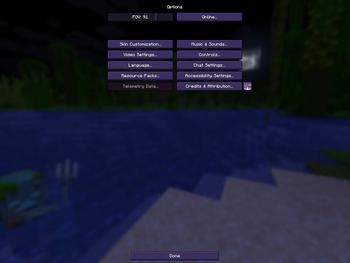 Options Menu