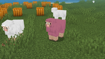 I Found A Pink Sheep While Taking Screenshots