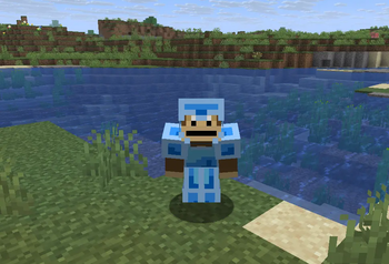 Armor