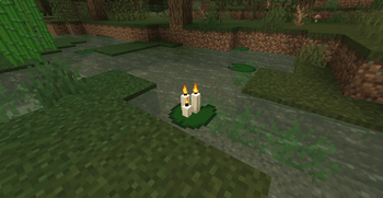 Place Blocks on Lily Pads