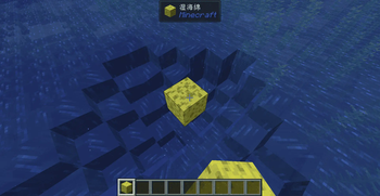 Sponges Placed Directly on the Water