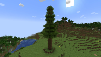 Big Oak Tree