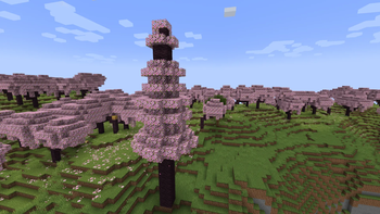 Big Cherry Tree