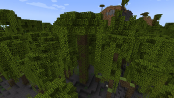 Big Mangrove Tree