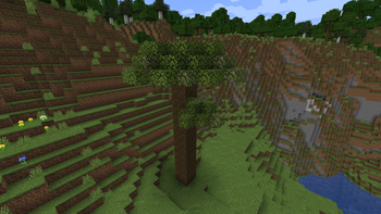 Big Azalea Tree